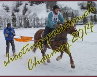 4CHARMEY191