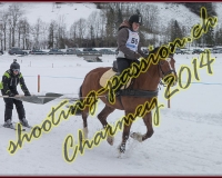 4CHARMEY196