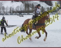 4CHARMEY197