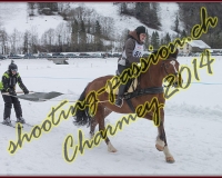 4CHARMEY198