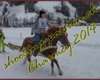 4CHARMEY203