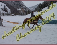 4CHARMEY209