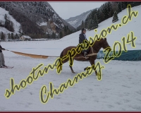 4CHARMEY210