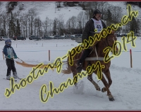4CHARMEY217