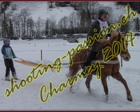 4CHARMEY218