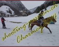 4CHARMEY225