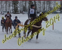4CHARMEY228