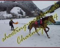 4CHARMEY238