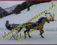 4CHARMEY260