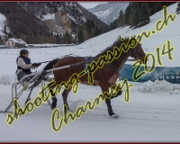 4CHARMEY268