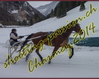 4CHARMEY269