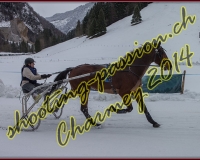 4CHARMEY270