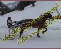 4CHARMEY271