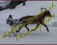 4CHARMEY272