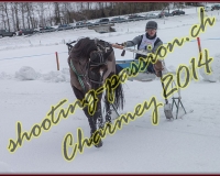 4CHARMEY277