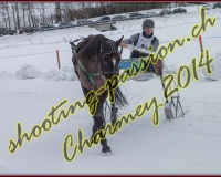 4CHARMEY278