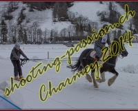 4CHARMEY297