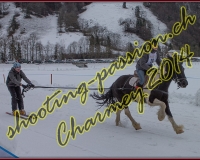 4CHARMEY298