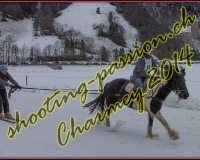 4CHARMEY299