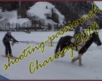 4CHARMEY300