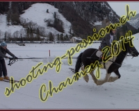 4CHARMEY301