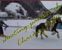 4CHARMEY302