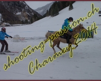 4CHARMEY318