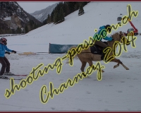 4CHARMEY319