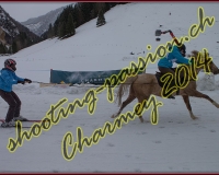 4CHARMEY320