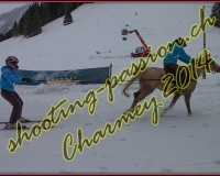 4CHARMEY321