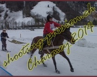 4CHARMEY326
