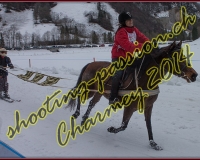 4CHARMEY327