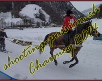 4CHARMEY328