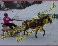 4CHARMEY339