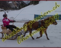 4CHARMEY340