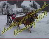 4CHARMEY363
