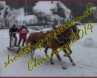 4CHARMEY364