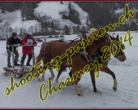 4CHARMEY365
