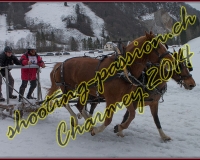 4CHARMEY366