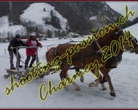 4CHARMEY367