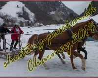 4CHARMEY368