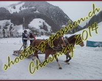 4CHARMEY381