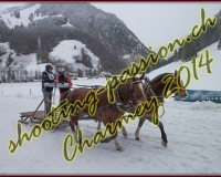 4CHARMEY382