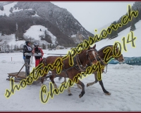 4CHARMEY383
