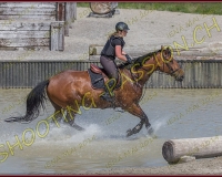 1EQUIPASSION441