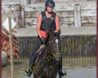 1EQUIPASSION648