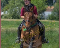 3EQUIPASSION107