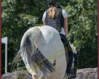 3EQUIPASSION129