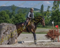 3EQUIPASSION323