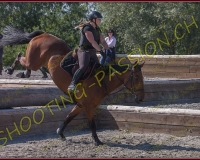 3EQUIPASSION418